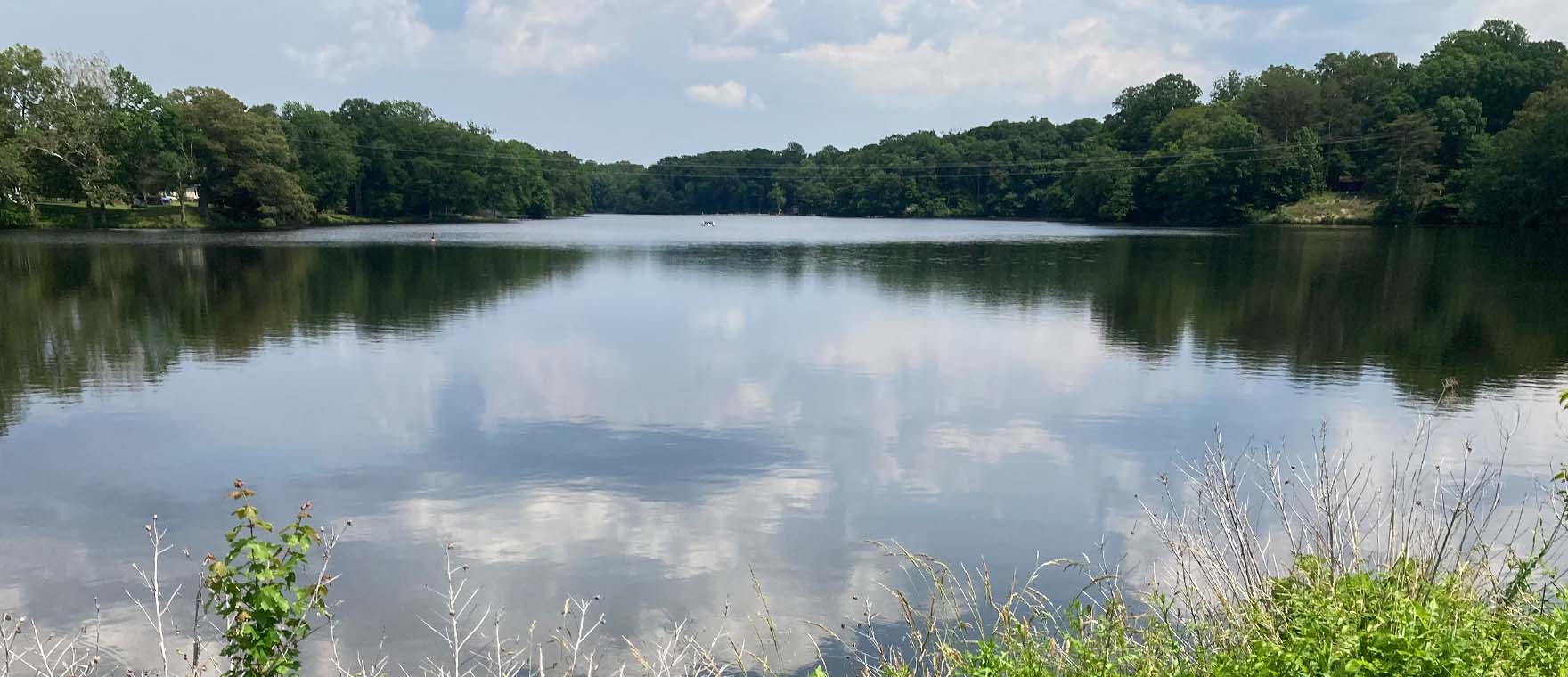 Traitement ultrasonique — Lac Williston